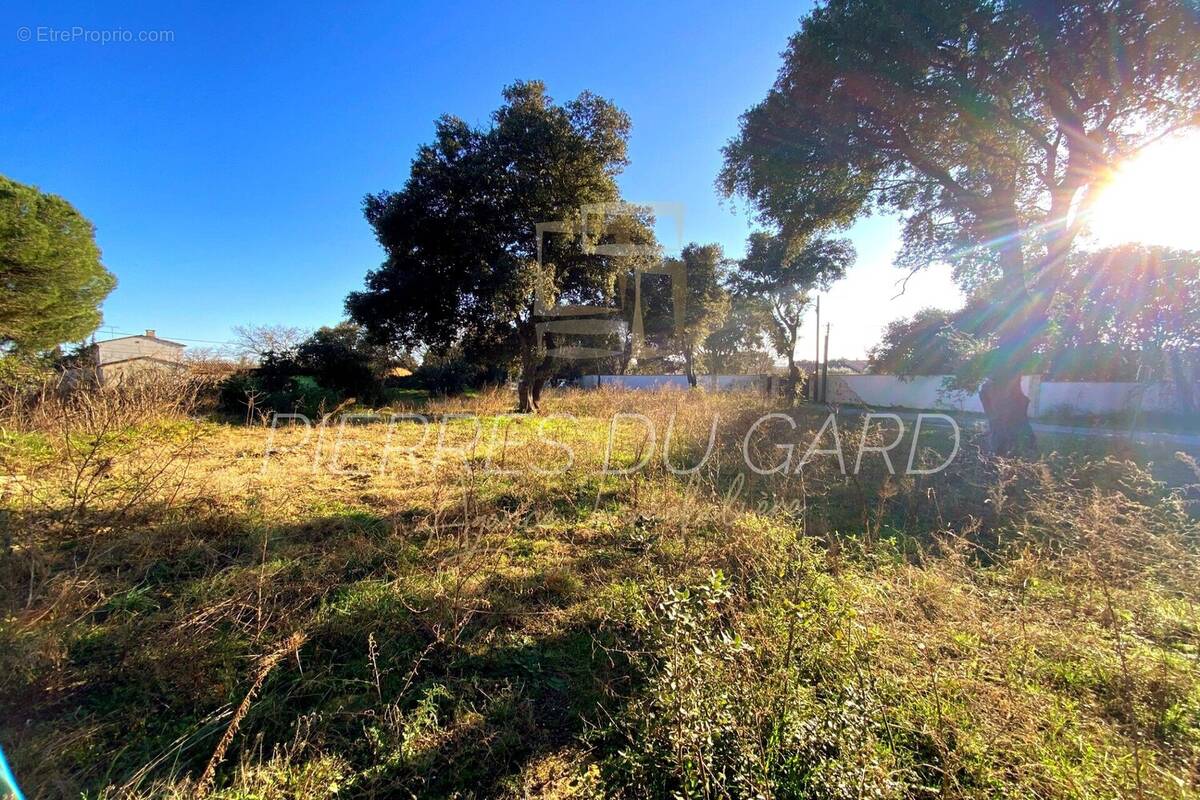 Terrain à SAINT-QUENTIN-LA-POTERIE