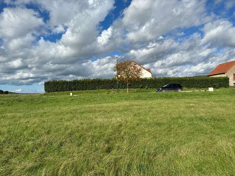 Terrain à VITTEAUX