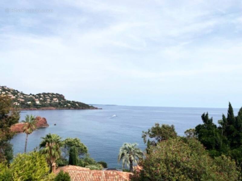 Commerce à LA SEYNE-SUR-MER