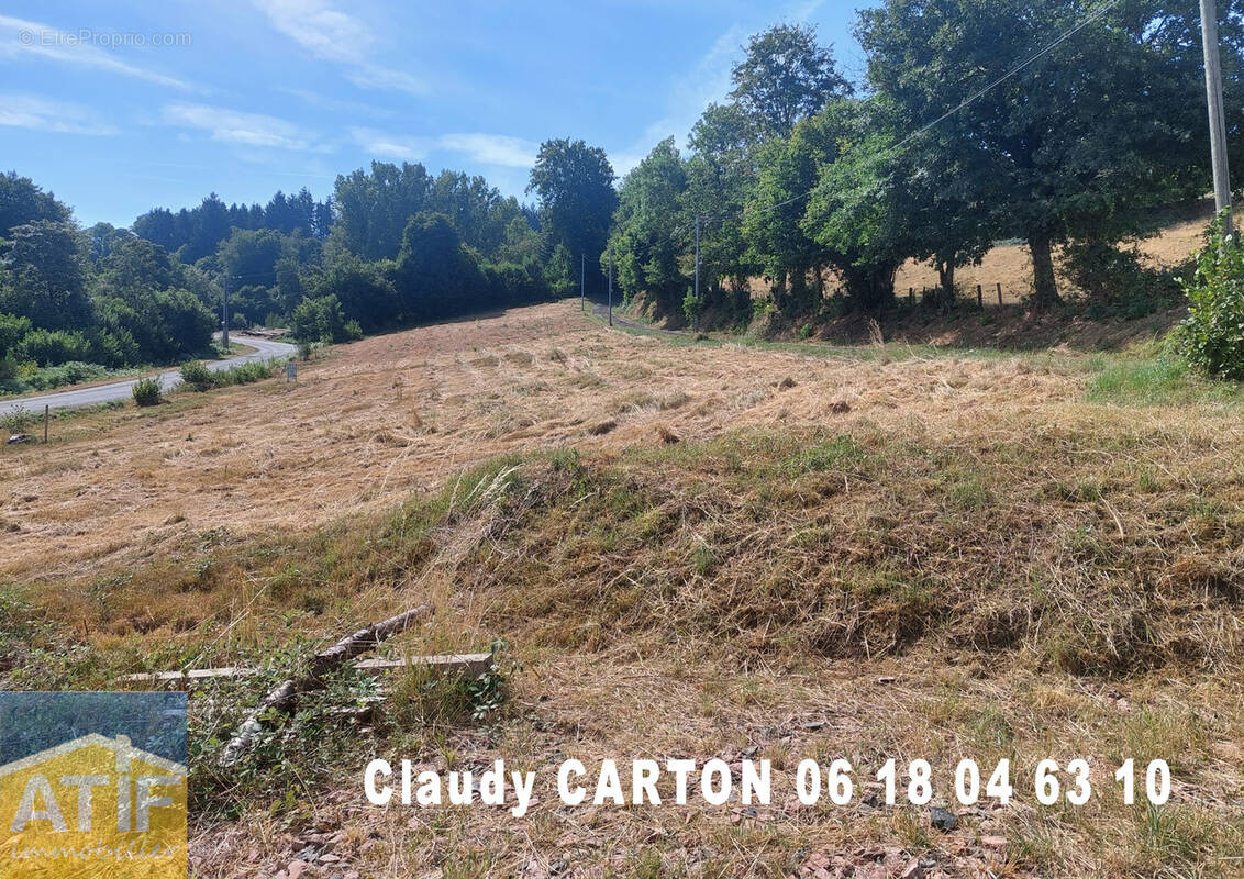 Terrain à NOIRETABLE