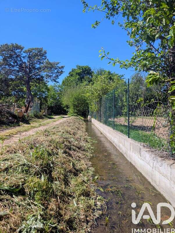 Photo 2 - Terrain à LE SOLER