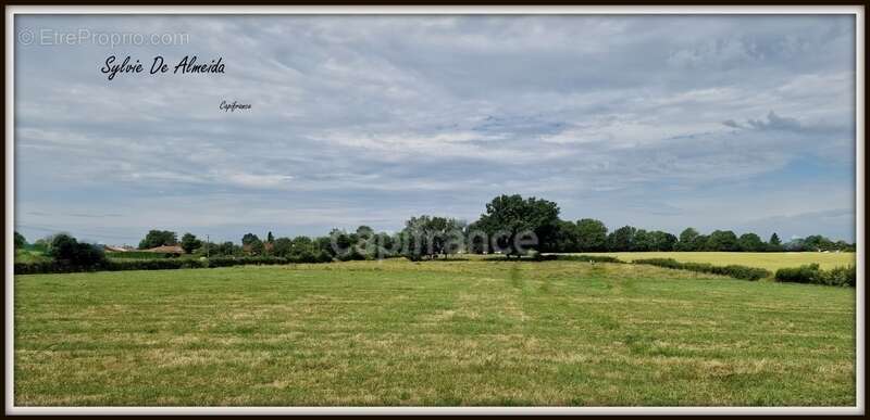 Terrain à vendre, à bâtir, hors lotissement de 3128,00 m² BEREZIAT (01)calme, plat, campagne, Montrevel en Bresse - photo 2