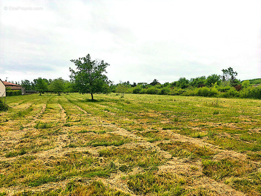 Terrain à MONTAUBAN