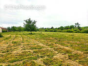 Terrain à MONTAUBAN