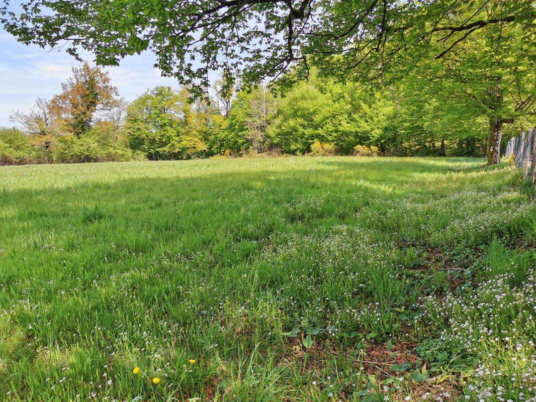 Terrain plat 4148m² - calme - environnement campagne - photo 5