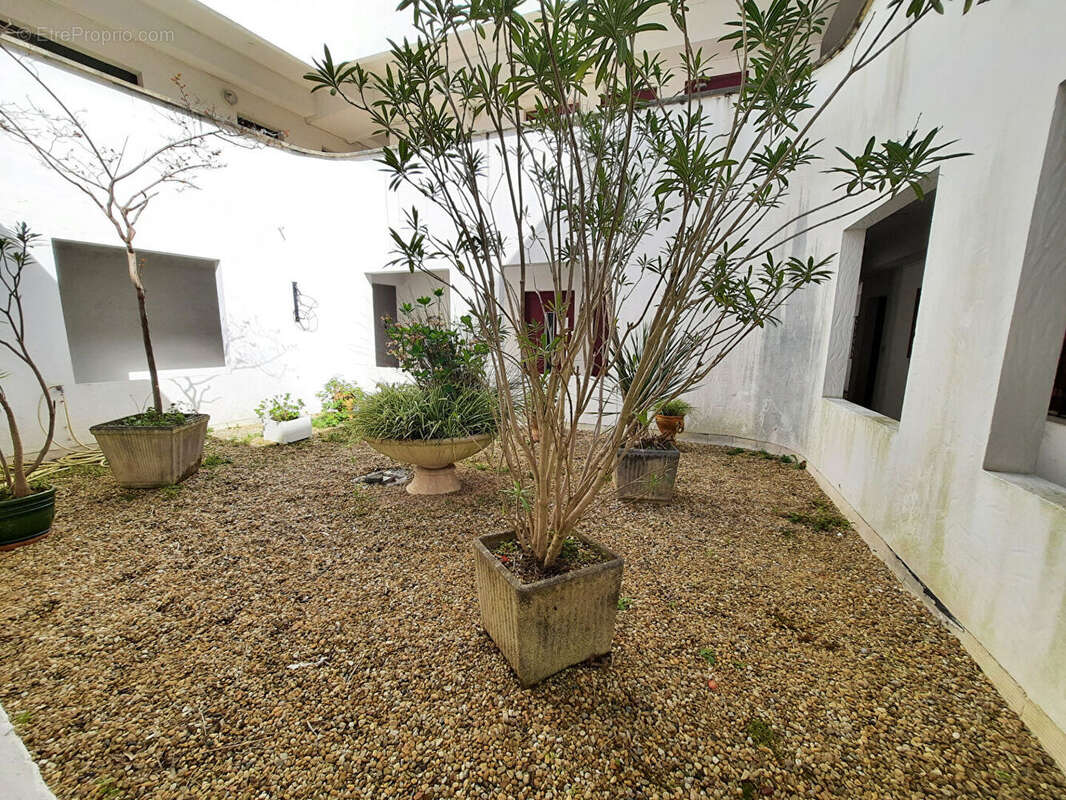 Appartement à CIBOURE