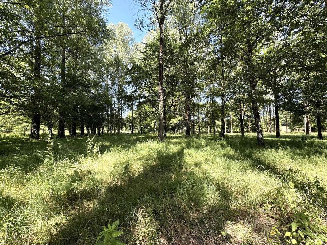 Propriété de caractère, indépendante, avec de vastes jardins privés et un bois - photo 18