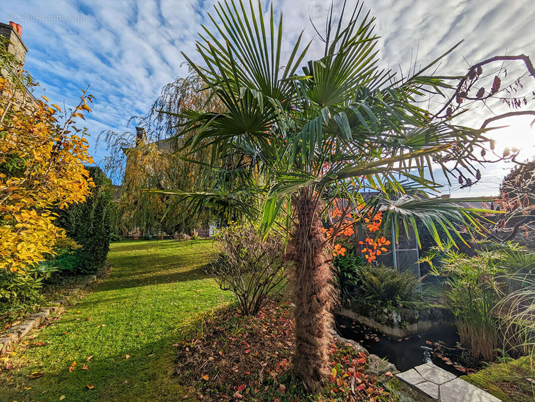 Maison à DOL-DE-BRETAGNE