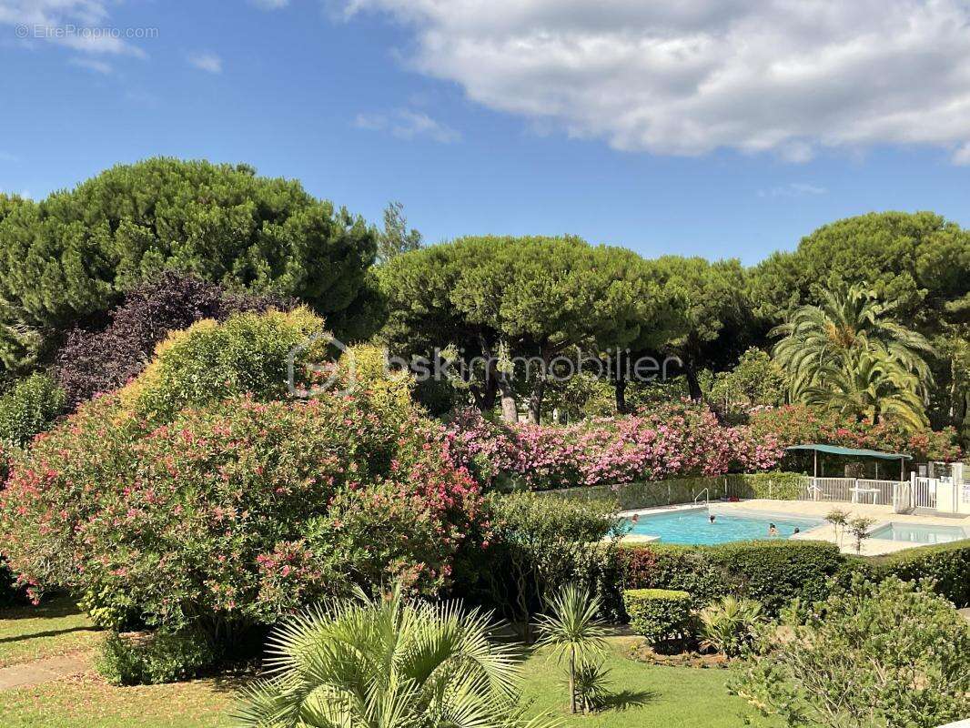 La grande-motte – résidence fleurie 1 - photo 17
