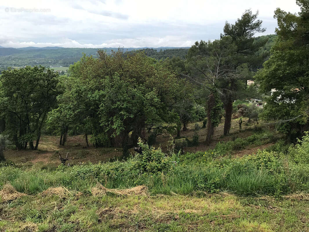 Terrain sur les hauteurs de Callian - photo 6