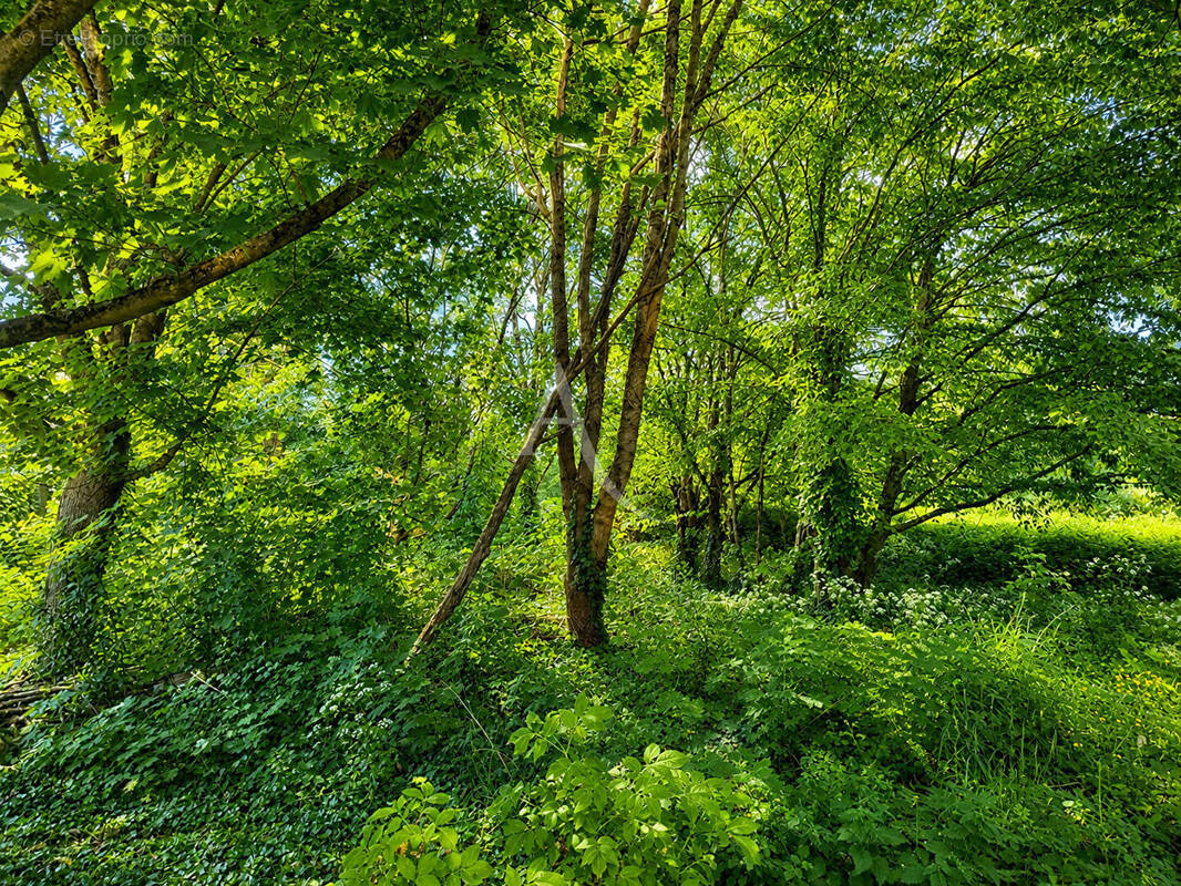 Terrain à SOUZAY-CHAMPIGNY
