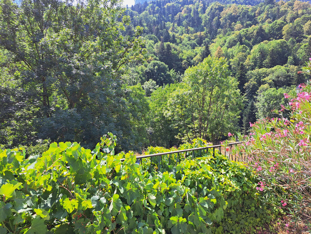 Grande maison familiale avec gîte indépendant, terrasses et jardin à Sainte-Colombe-sur-Guette - photo 30