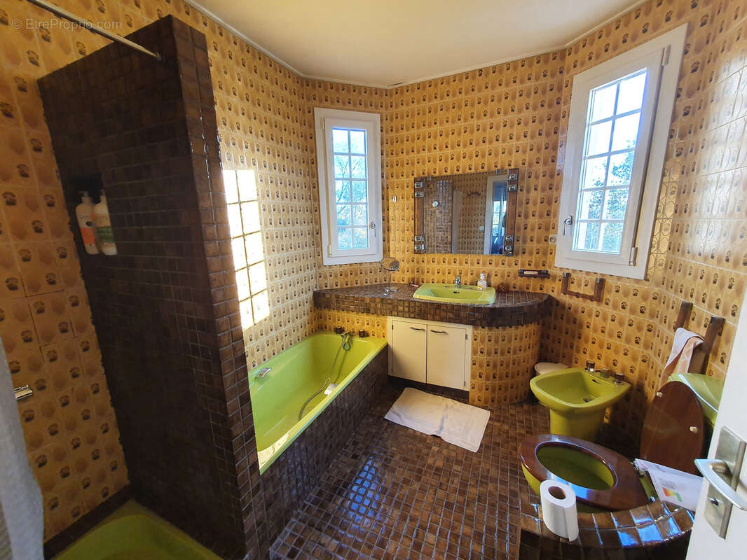 Maison de caractère pour famille avec enfants à Hagetmau - photo 11