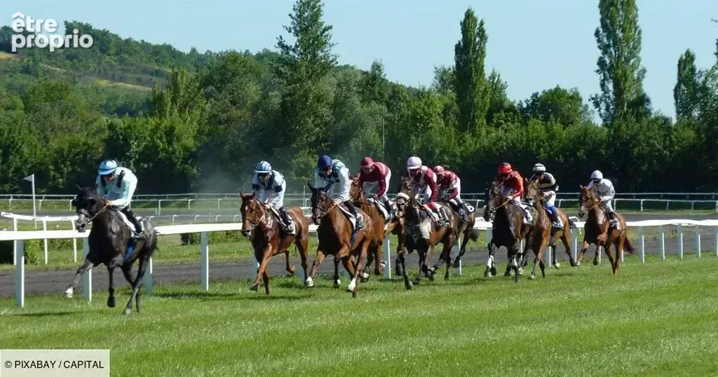 Proche de franconville bar tabac fdj pmu - photo 2
