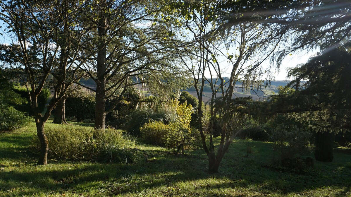 Maison à CASTELNAU-MONTRATIER