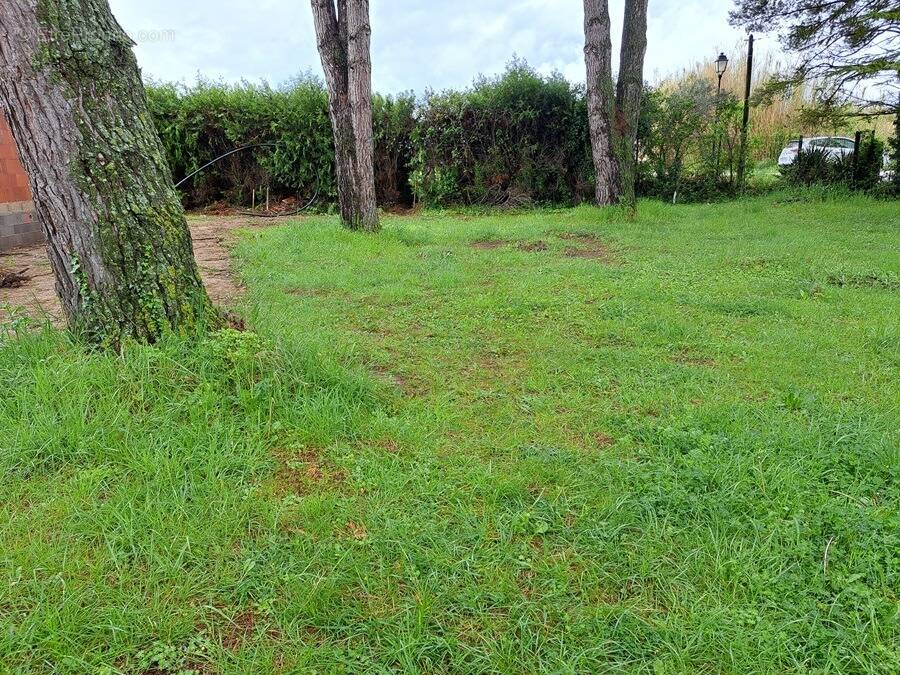 Terrain à VERNEGUES