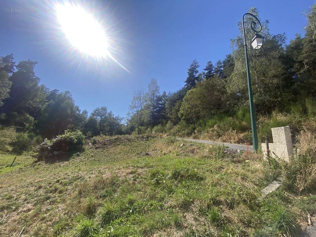 Terrain à LES BESSONS