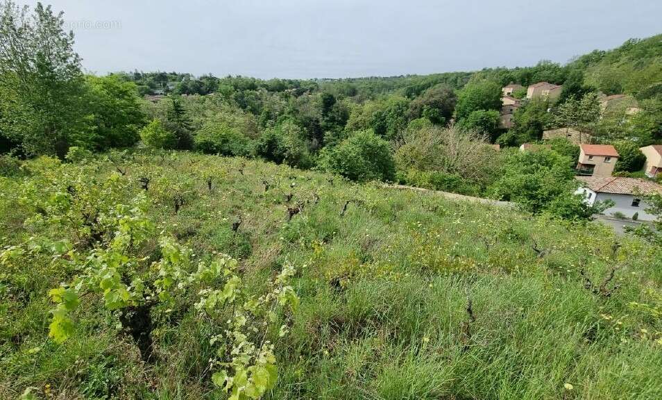 Terrain 1000 m² à Castanet-Tolosan  - photo 2