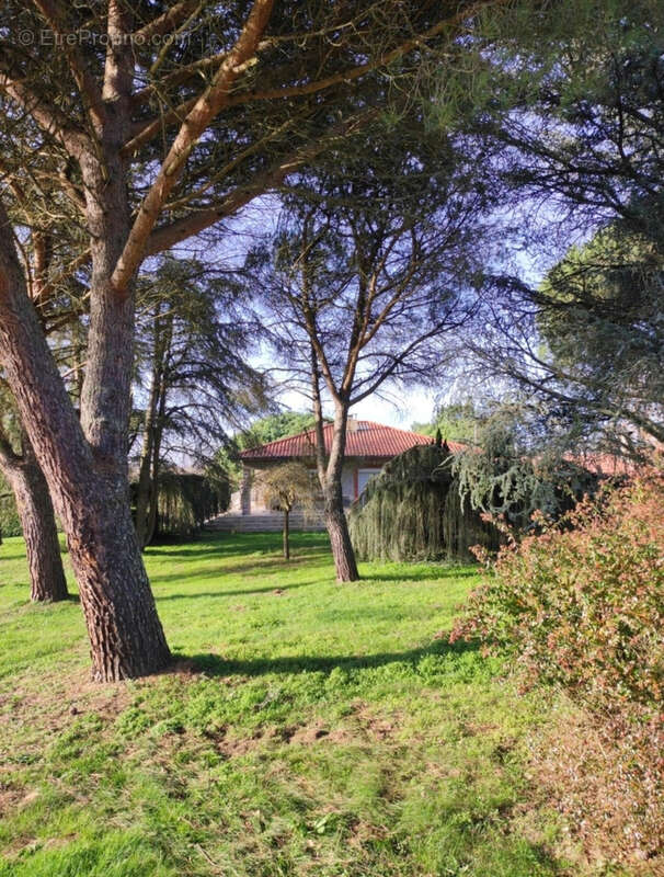 Maison à MONTAUBAN