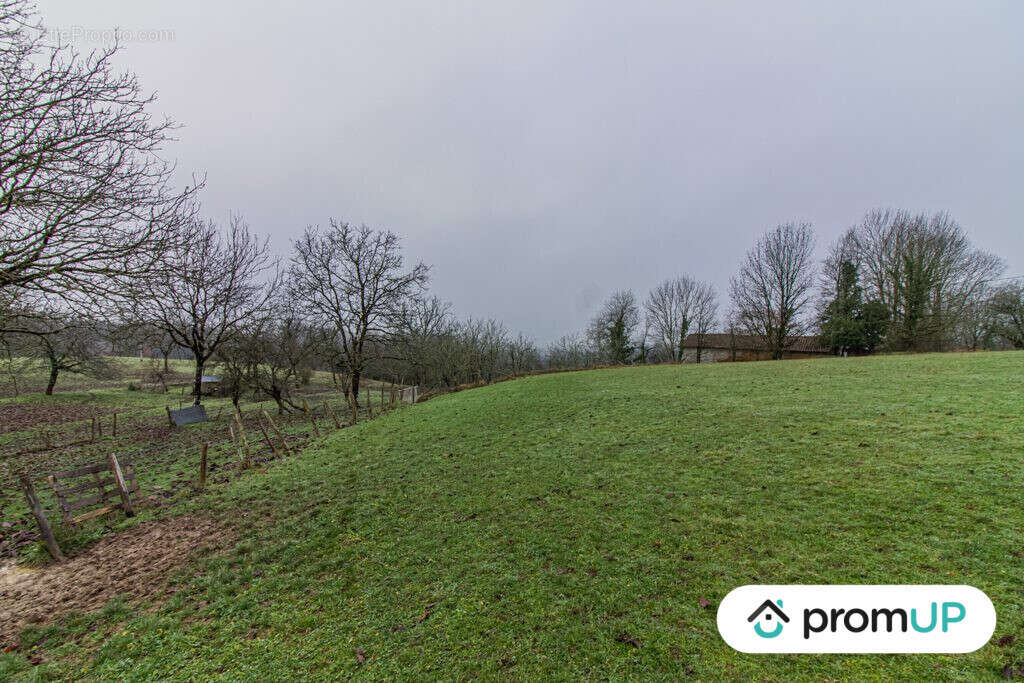 Terrain à THIVIERS