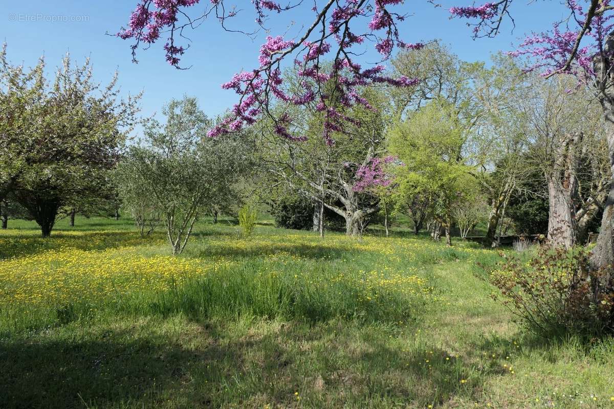 Maison à SAINT-FELIX-LAURAGAIS