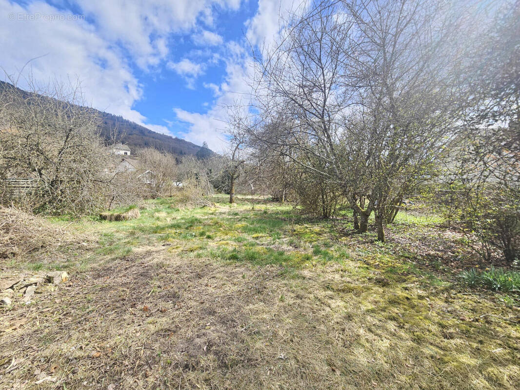 Terrain - Terrain à RUPT-SUR-MOSELLE