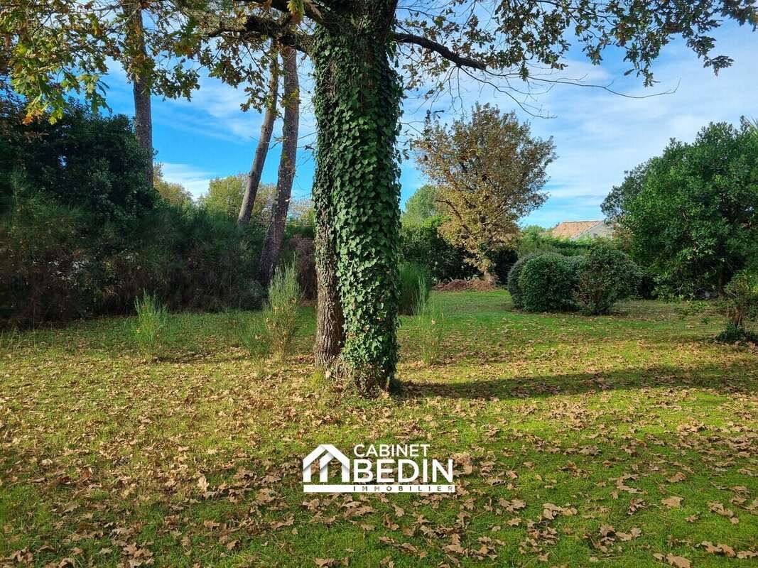 Terrain 684 m² à Biganos  - photo 4