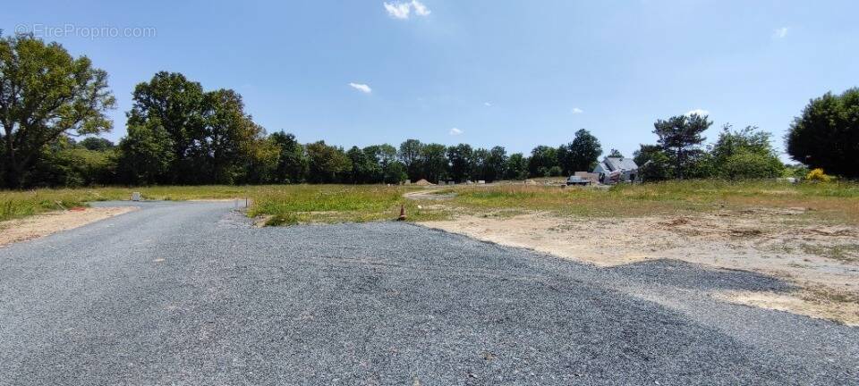 Terrain à SOUCELLES