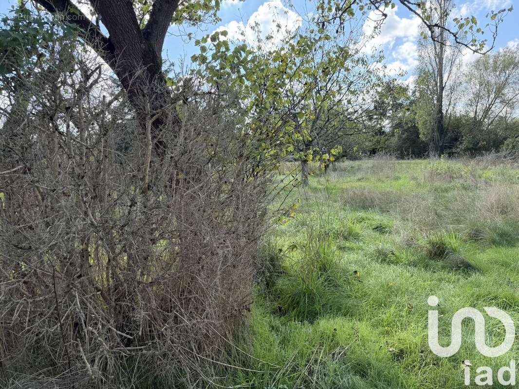 Photo 6 - Maison à GARNAT-SUR-ENGIEVRE