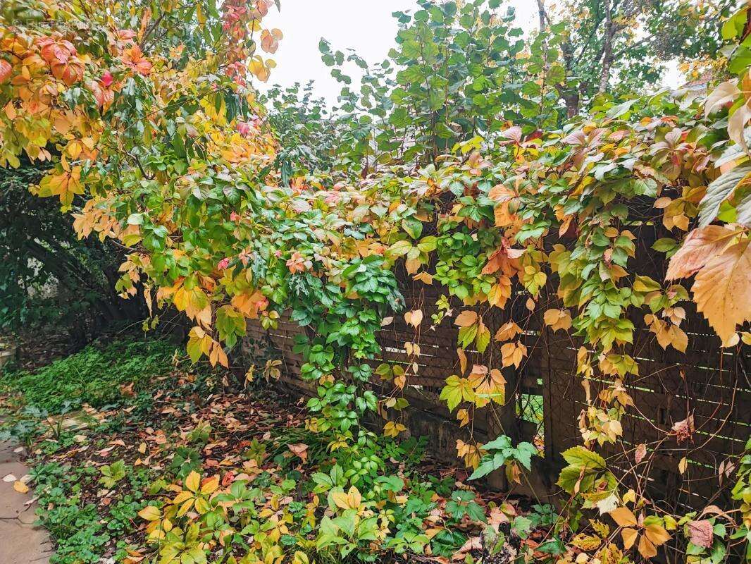 Maison à SAINT-ASTIER