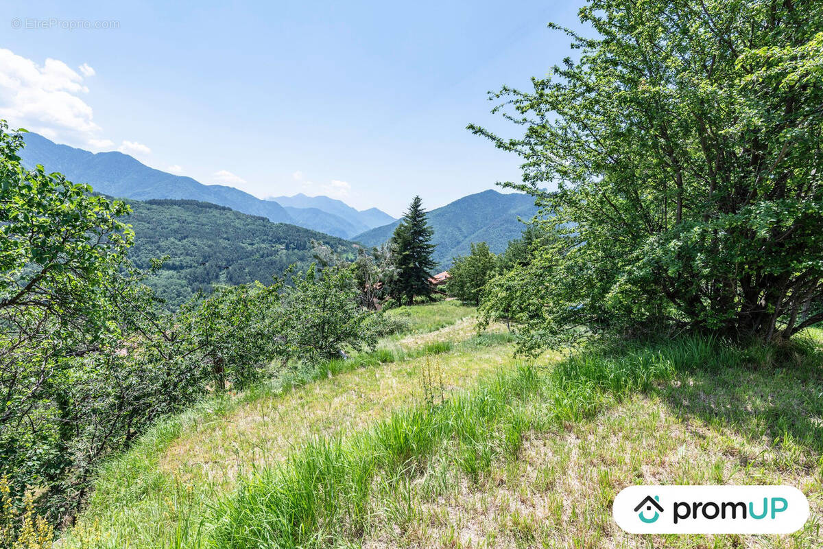 Terrain à BELVEDERE