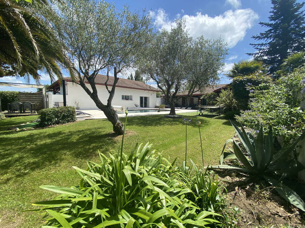 Maison à MOUGUERRE