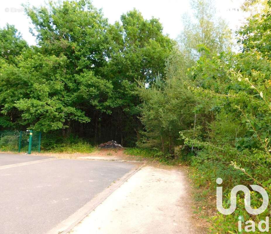 Photo 3 - Terrain à SALBRIS