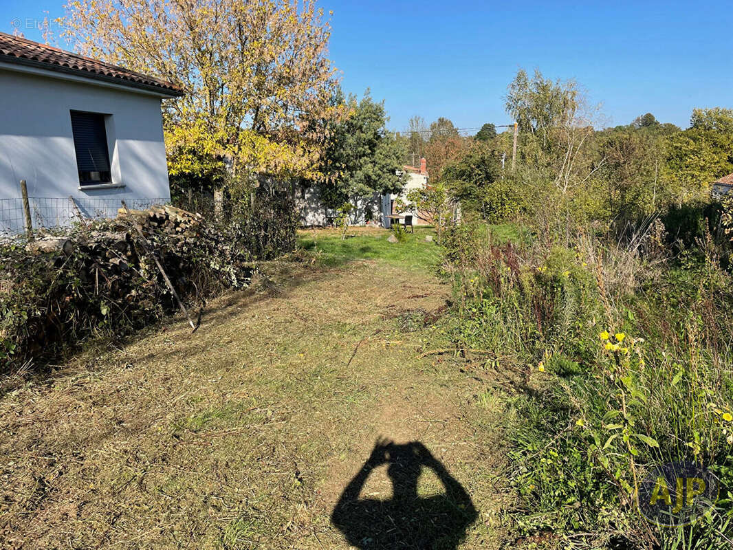 Terrain à MONNIERES