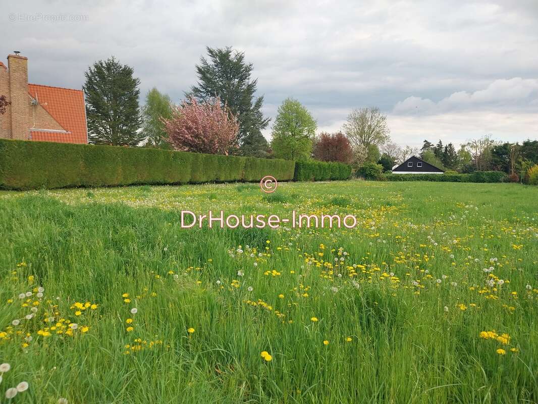 Terrain à SAINGHIN-EN-MELANTOIS