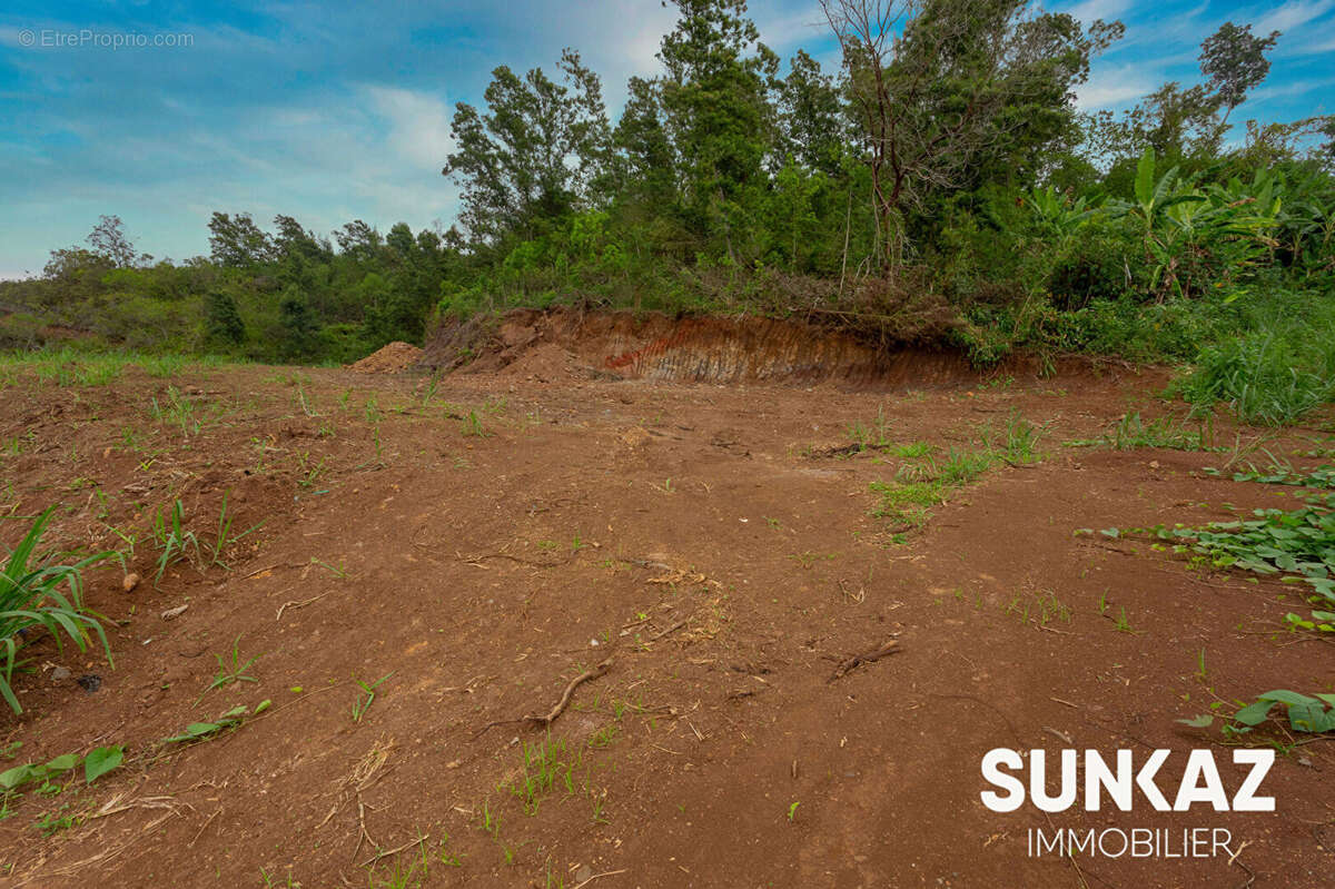 Terrain à SAINT-LOUIS