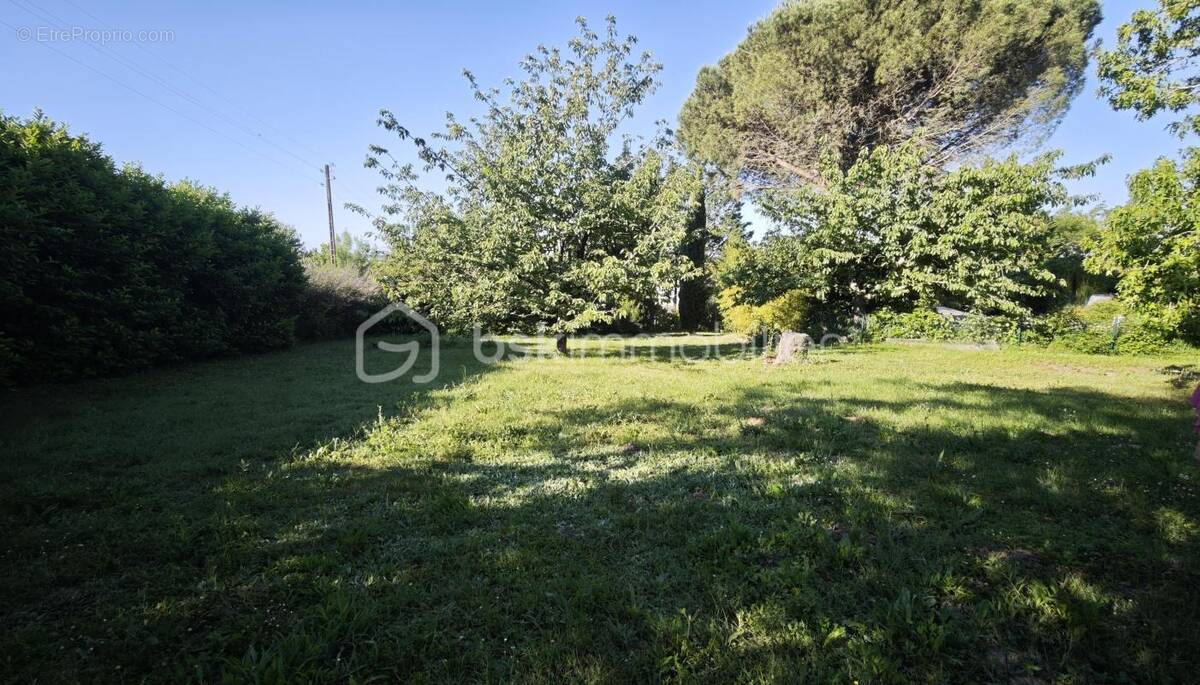 Terrain à MONTRABE