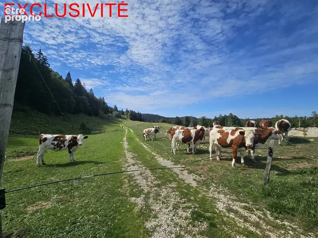 Haut-Jura : authentique ferme en pierre isolé sur terrain de plus de 30 Hectares - photo 3