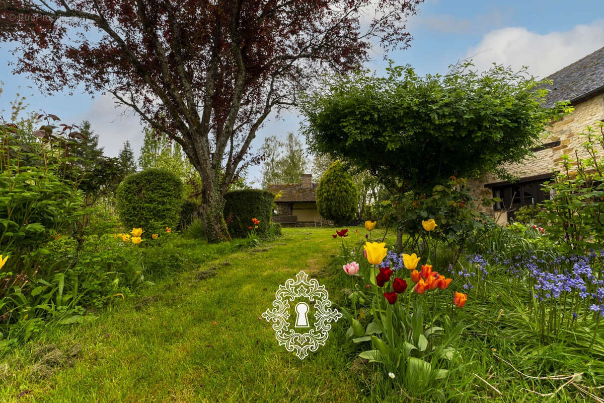 Maison à DONNEMARIE-DONTILLY