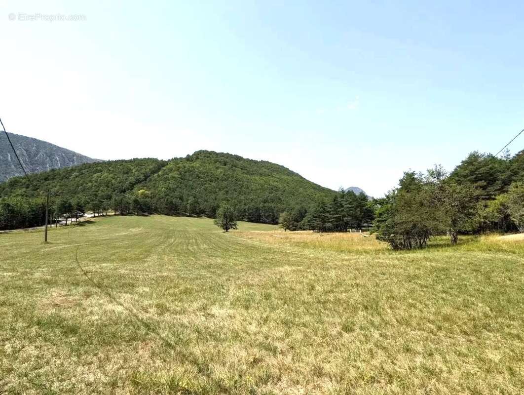 Propriété 2 maisons - Terrain 55330 m² - photo 8