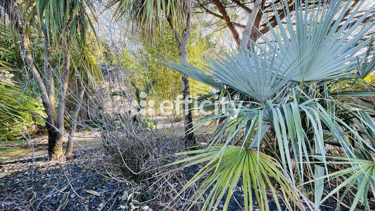Maison à SAINT-GEORGES-D&#039;OLERON
