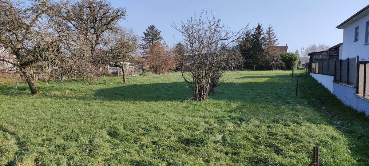 Terrain à VERGAVILLE