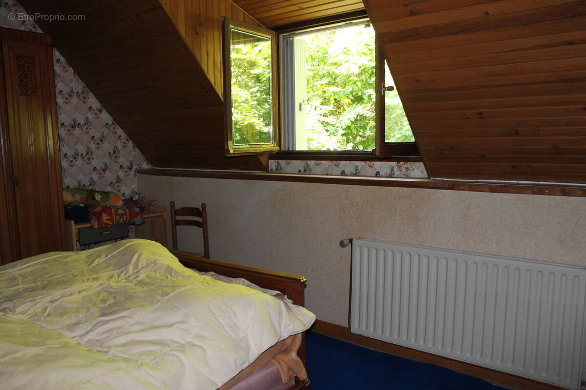 St Palais   Maison spacieuse  sur 1612 m2 dans le village. - photo 16