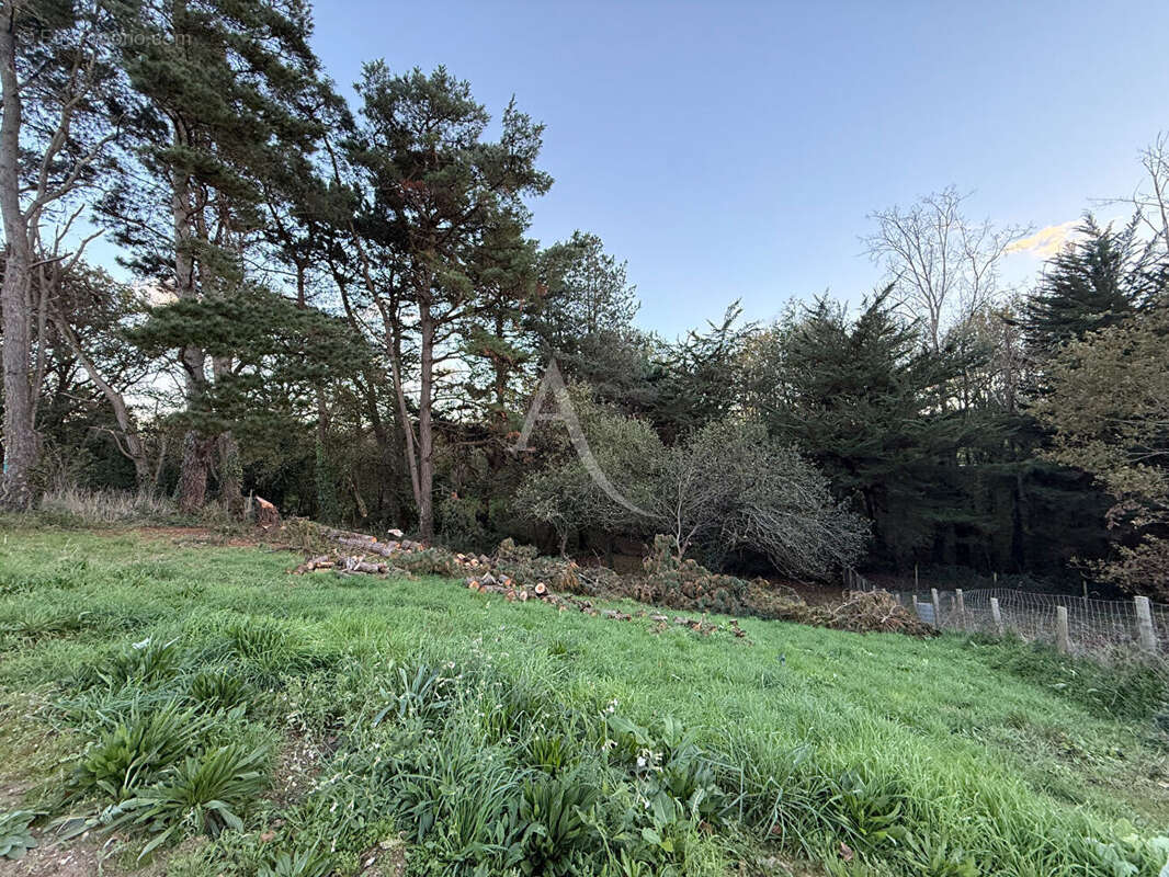 Terrain à SAINT-REVEREND