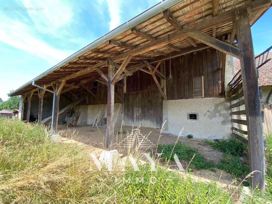 Steinbrunn-Le-Haut, Maison avec dépendance. - photo 4