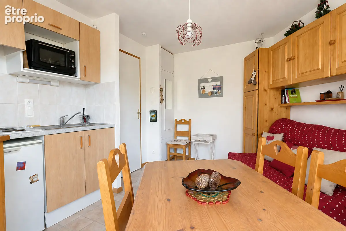 Appartement Le Biot 2 pièce(s) 19.5 m2 - photo 4