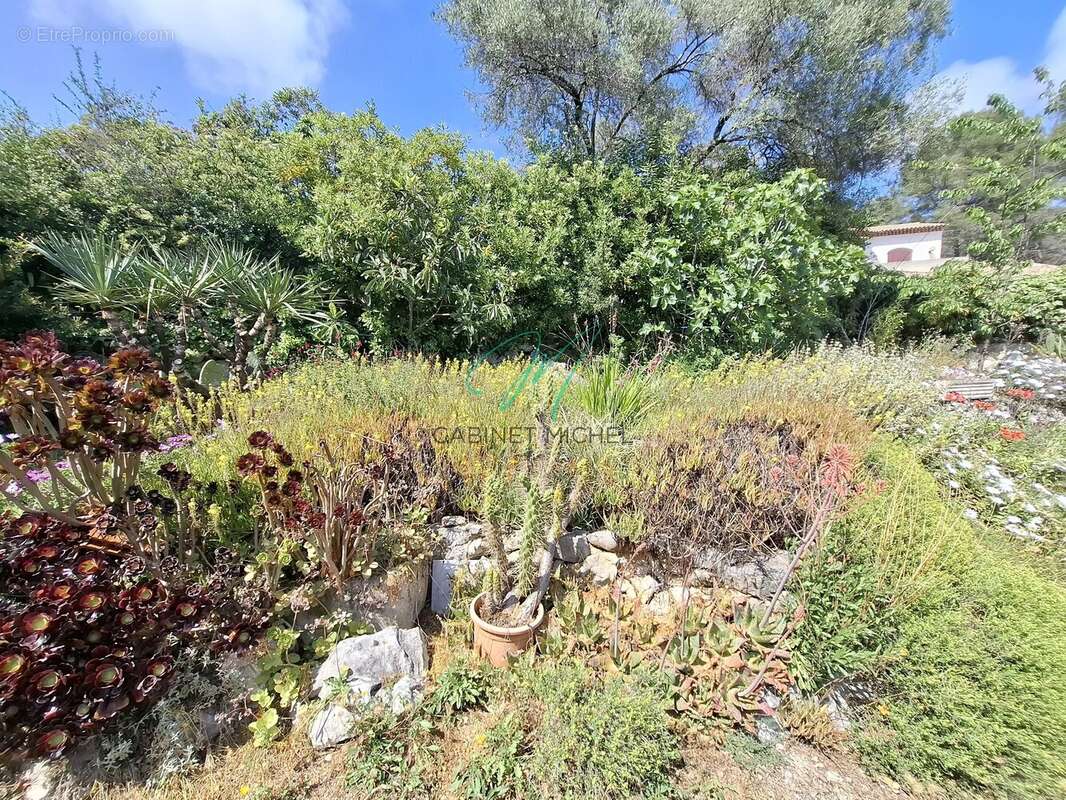 Maison à ROQUEFORT-LES-PINS