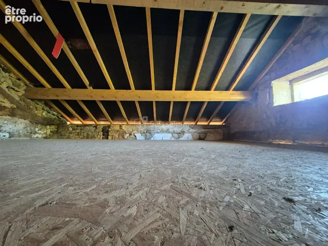 Maison Vernois Sur Mance 4 pièce(s) 120 m2 sur 460 m2 de jardin arboré - photo 12