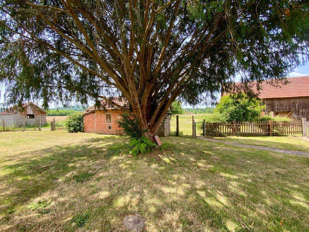 Maison à SAINT-CHAMASSY