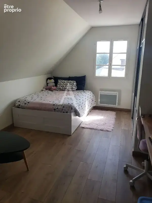 Chécy au calme!!! - photo 8